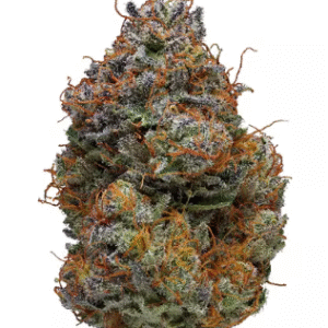 Buy Weed Online In Kuwait