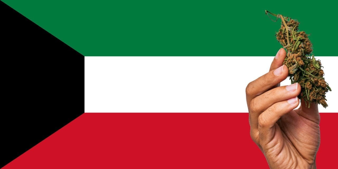 Buy Weed Online In Kuwait