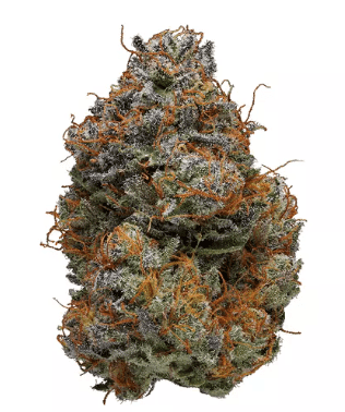 Buy Weed Online In Kuwait