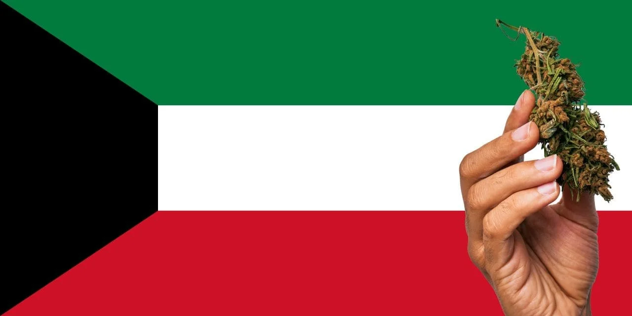 Buy Weed Online In Kuwait